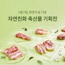 현대고기백화점 이미지