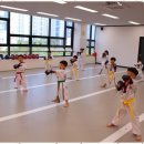 마루태권도 이미지