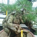 석부농장 이미지