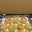 광인농장 이미지