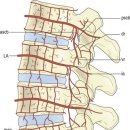 스마일365한의원 이미지