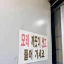 어달펜션 | [묵호] 내돈내산, 어달가족펜션_후기
