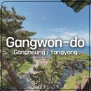 파머스하우스 | 뒤늦은 2박 3일 강원도 여행 기록 남기기 (강릉, 양양)