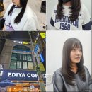 화이트홀헤어