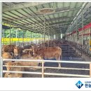 햇살2호 태양광발전소 이미지