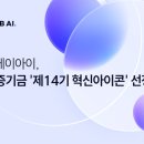 아이콘솔루션 이미지