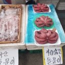 합천왕후시장 이미지