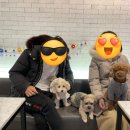 삼룡이네 이미지