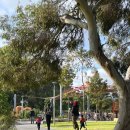 루프탑&오락실 이미지