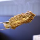 황장군면옥