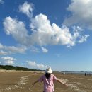 몽산포오션캠핑장 | 태안 몽산포오션캠핑장 오픈런 후기와 몽산포 해수욕장 조개잡이 성공!