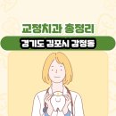 경기도 김포시 감정동 교정치과 총정리
