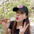 궁잔기지떡강릉점 이미지