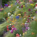 사월보성2차 버스정류장 옆 | W3. 대구 예식장 투어부터 계약금 날린 썰까지! l 홀투어 1차. 보스코, 아현정, 엘파소 l