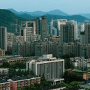 부동산