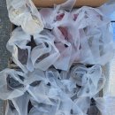 한아람초등학교 병설유치원 | 동지상합(同志相合)