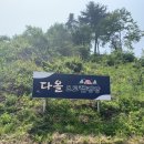 동서울오토테크닉 | 서울 근교 양평 계곡 캠핑장 다올오토캠핑장 명당자리 추천