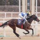 통산1목장 이미지