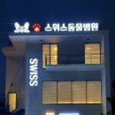스위스동물병원 이미지
