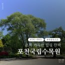포천시 환경자원센터 | 포천 국립수목원 후기｜아이랑 부모님과 함께 걷기 좋은 힐링 명소