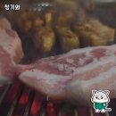 청기와에서의 맛있는 고기 여행