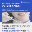 55플란트치과의원 이미지