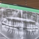 닥터정치과의원 이미지