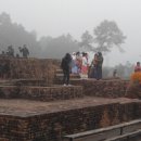 겨자씨이야기 이미지