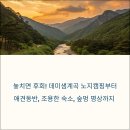 데미샘마을민박 | 놓치면 후회! 데미샘계곡 노지캠핑부터 애견동반, 조용한 숙소, 숲멍 명상까지 진안 숨은 명소 완벽 가이드