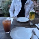 바이오탑 이미지