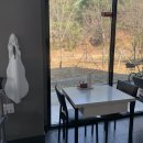 손칼국수 | 대곡동 맛집 '100세 손칼국수' 추천 후기