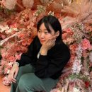 푸른숲가든 | 제주애월가볼만한곳 아이바가든 가격정보 및 후기 💖🌷🌸