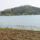 김진기공인중개사사무소 이미지