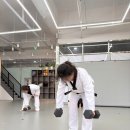 비봉 푸르미르태권도장 이미지