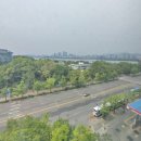 아이비피아 이미지