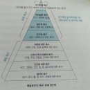 용인대석사 참바른 태권도 이미지