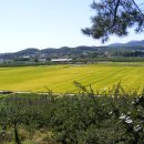 계전2리 이미지