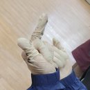 2025 Daft Hands 이미지
