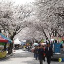 청풍공설운동장 공설운동장 이미지