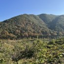 유등숯불식당 이미지