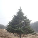 구상몰