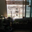 다미농원 이미지