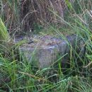 대강면 송내마을 이미지