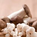 JK댄스스튜디오 이미지