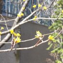 치앤강 | [삼각산동/삼양사거리 맛집]치앤강 후기