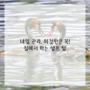 손끝에서 피어나는 네일아트 이미지