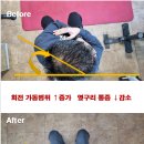 YT 트레이닝센터 이미지