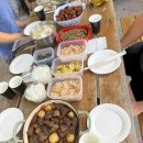 한국백신판매(주) | [호주워홀D+261-291]두쫀쿠 배달에 페인팅 파티 가는 2026년 1월 킹가로이 일상