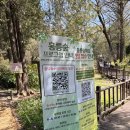 지도 왕벚나무길 | 도심 속 힐링 산책하기 좋은 홍릉숲 개방 후기_숲해설