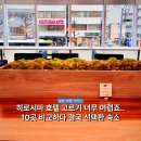 스마트케이플랜 | 히로시마 호텔 비스타 위치 스탠더드 더블룸과 조식 장단점 내돈내산